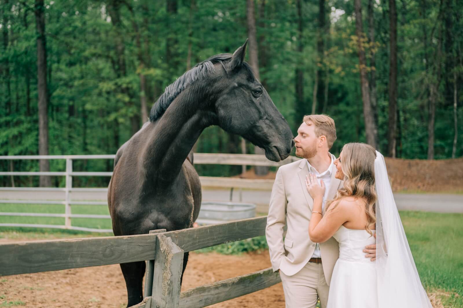 A bride and groom stand near a wooden fence, facing a large black horse, with trees in the background at their charming outdoor wedding.