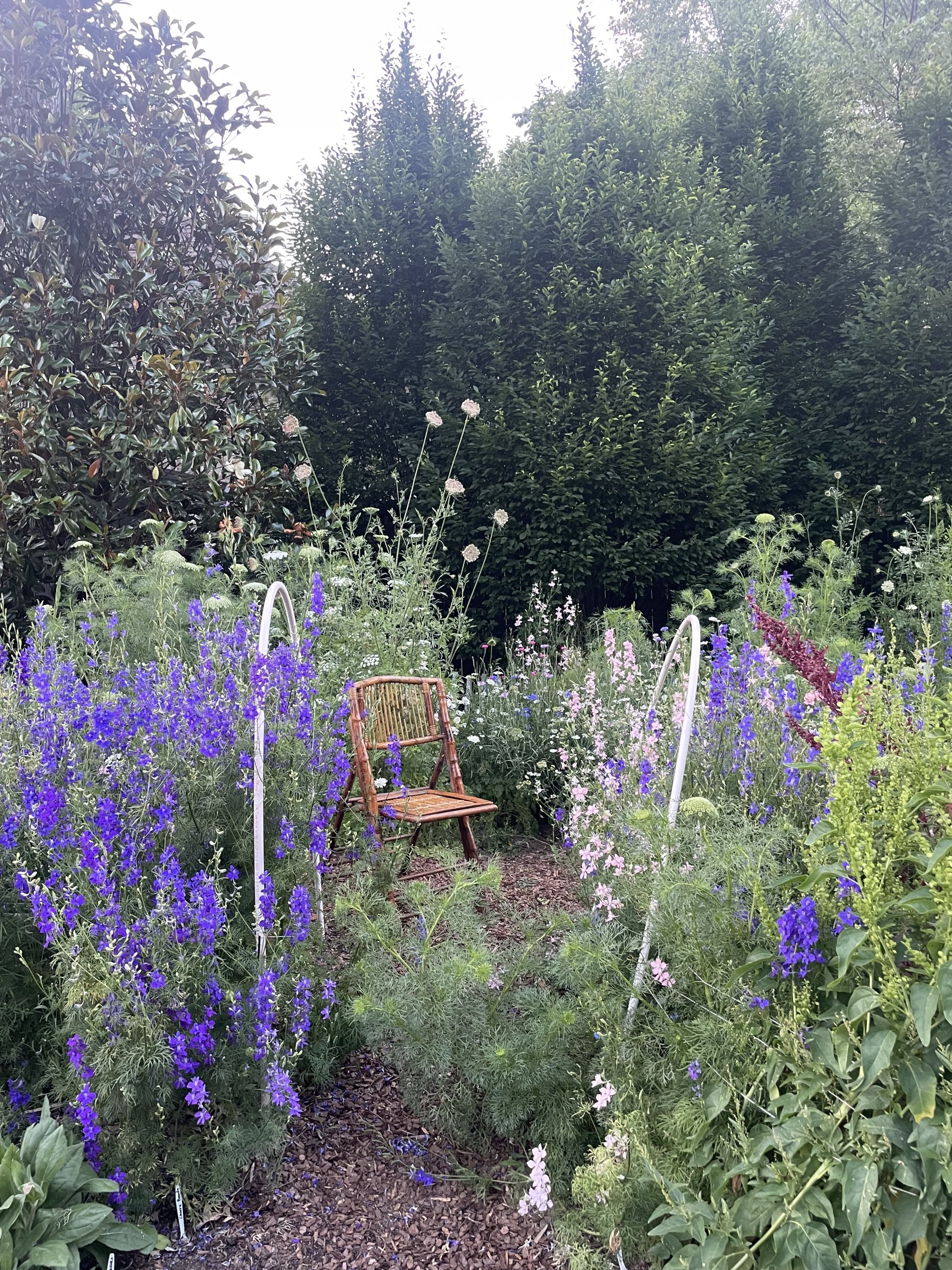 A wooden chair sits in the middle of a gorgeous spring garden surrounded by purple, pink, and white flowers, with dense green bushes in the background.