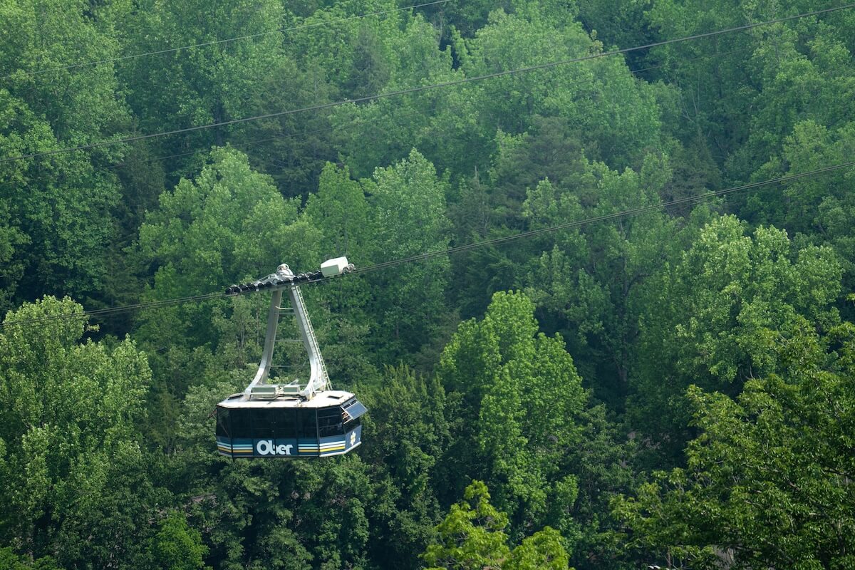 5 Beloved Tennessee Destinations for Adventure Lovers - 4 A gondola cable car labeled "Ober" travels above a dense, green forest during daylight, offering a glimpse into Tennessee outdoor escapes perfect for adventure towns and nature enthusiasts.