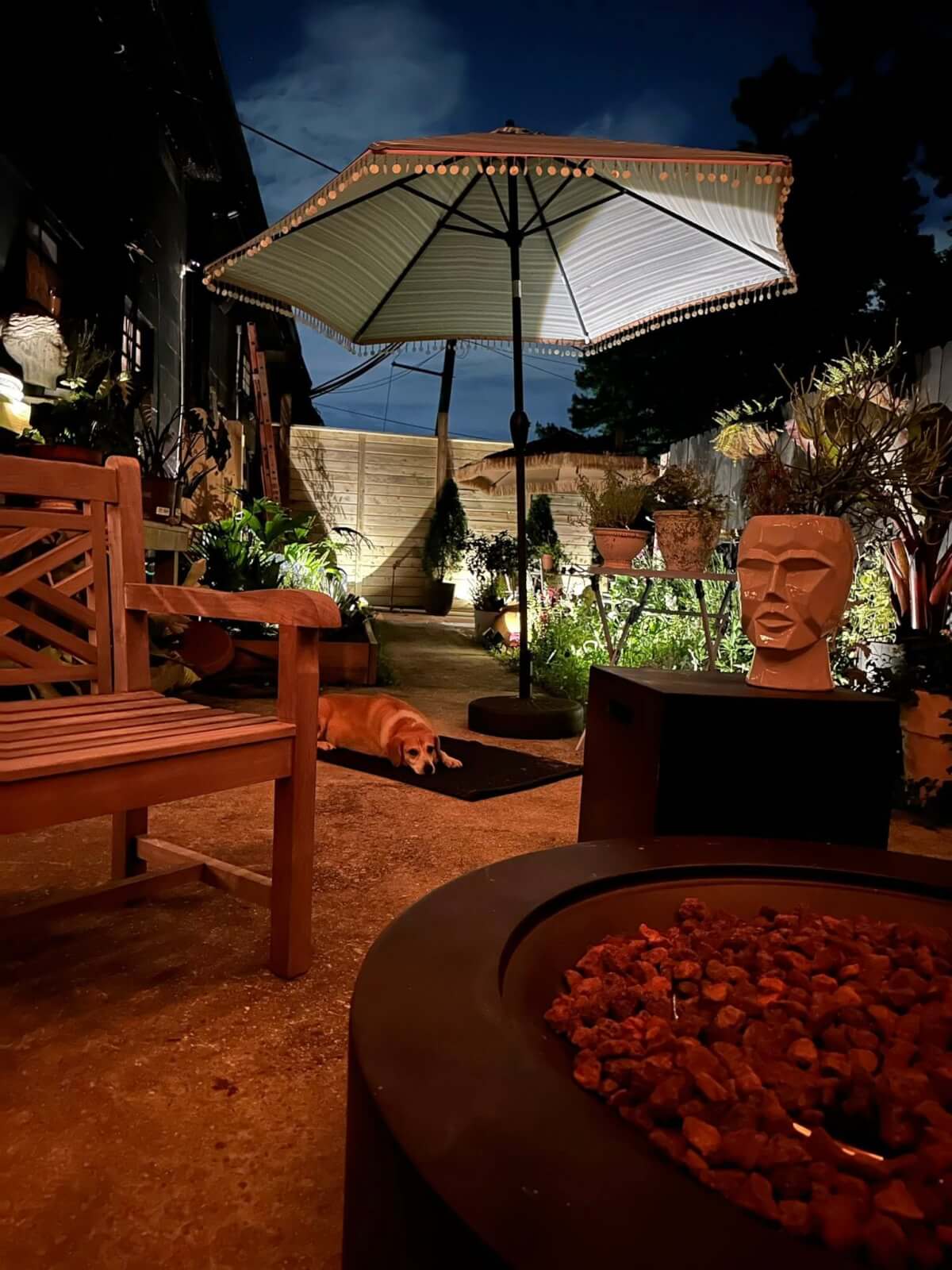 Meet Cahaba Heights' Adorable Canine Mascot, Callie Heights! - 9 A backyard patio at night with a wooden chair, a large umbrella, a fire pit, garden plants, a dog lying on the ground like a mascot, and a decorative face sculpture.
