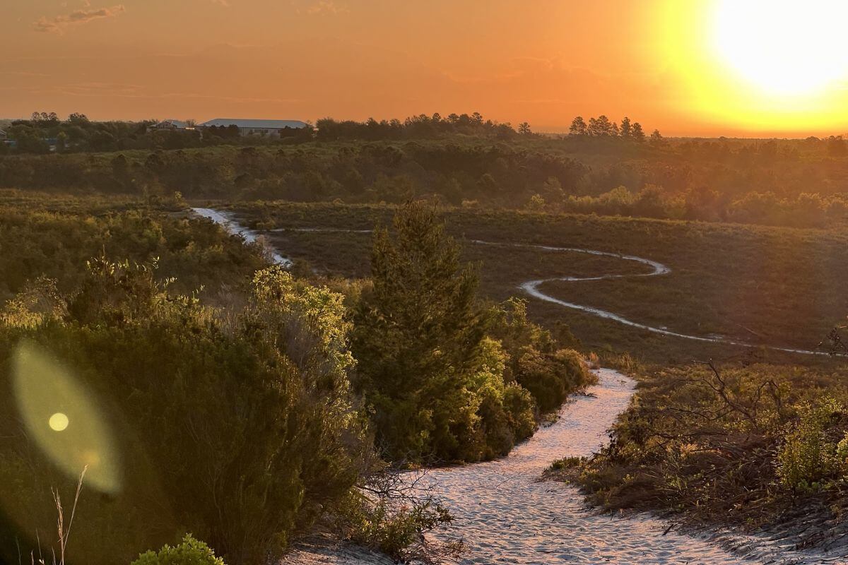 A winding sandy path leads through green shrubs toward the horizon at sunset, with a bright sun low in the sky—perfect for exploring Heritage Trails and savoring Florida food along your travel adventure.