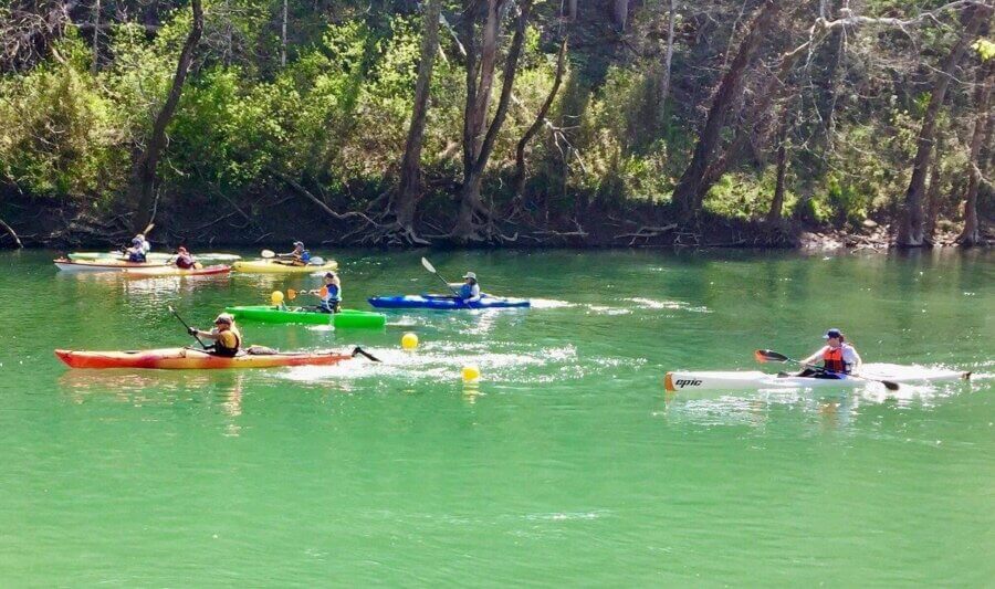 5 Beloved Tennessee Destinations for Adventure Lovers - 13 Six people kayaking on a green river near a forested bank, sunlight reflecting on the water—an unforgettable scene of Tennessee outdoor adventures with trees in the background.