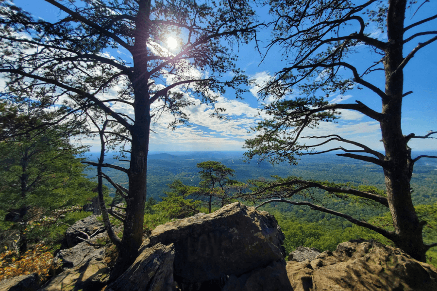 View from a rocky outcrop with tall pine trees overlooking a vast, green forested landscape under a bright blue sky with scattered clouds.