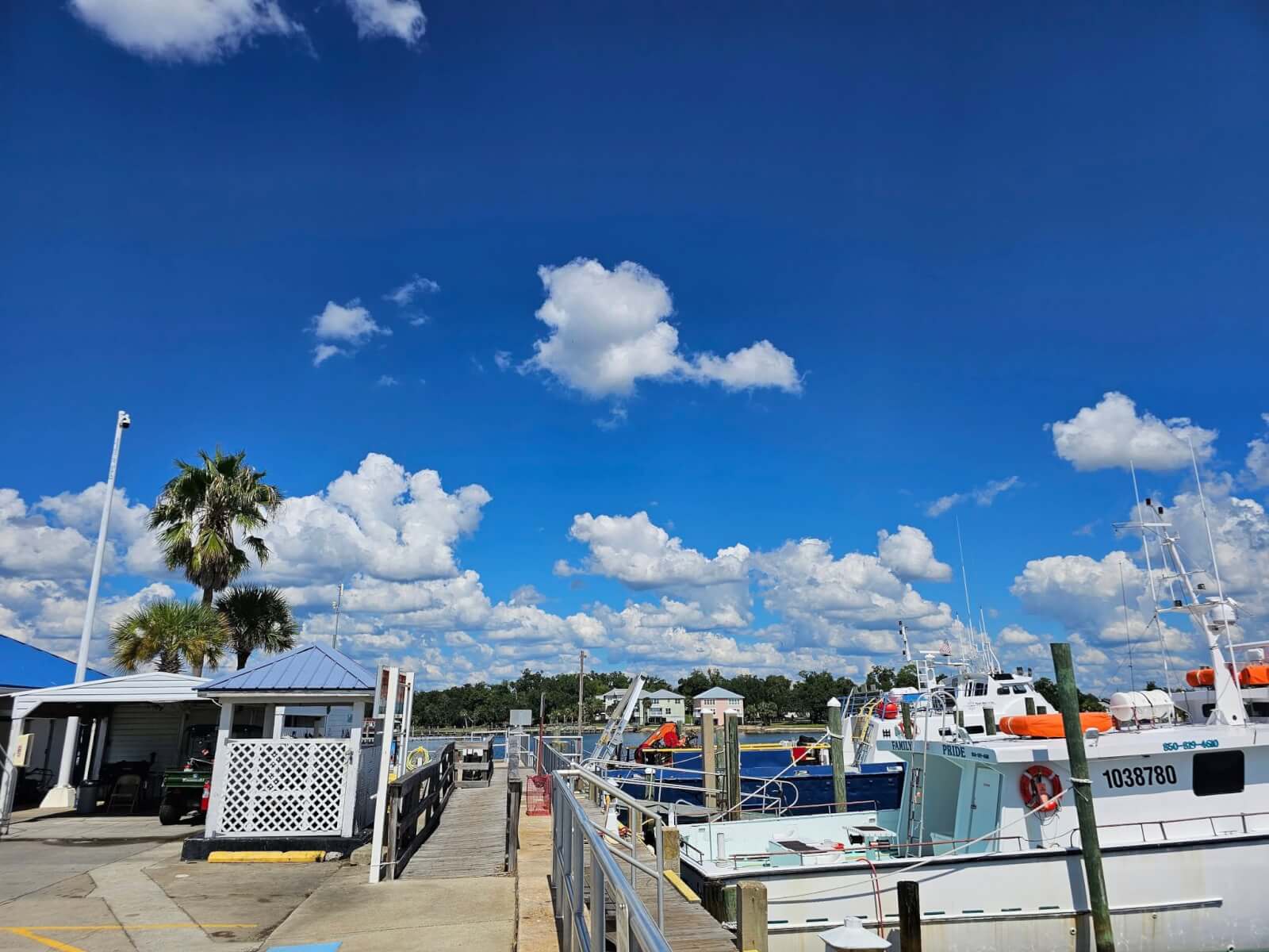 12 Florida Food & Heritage Trails Worth Traveling For - 7 Boats docked at a marina under a bright blue sky with scattered clouds; palm tree and small building visible on the left—an inviting scene for travel along heritage trails.