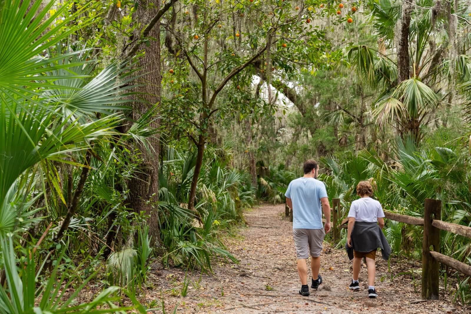 12 Florida Food & Heritage Trails Worth Traveling For - 4 Two people walk along a dirt path through a lush, green forest on one of Florida's scenic Heritage Trails, surrounded by trees and plants, with a wooden fence on one side.