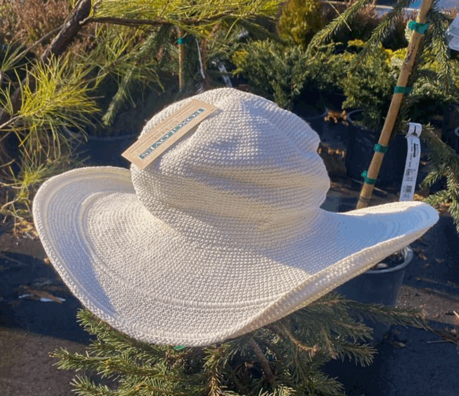 50 Under $50: Your Nashville Holiday Gift Guide - 19 A wide-brimmed white sun hat with a tag rests on the branches of a small pine tree in an outdoor garden centerβan elegant find for Nashvilleβs holiday gift guide or gifts under $50.