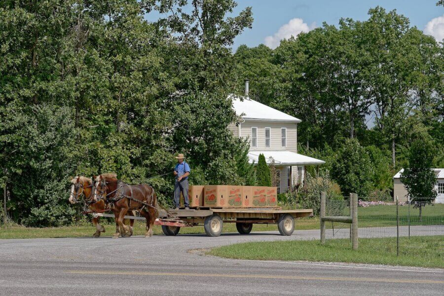 5 Beloved Tennessee Destinations for Adventure Lovers - 16 A man enjoys Tennessee outdoor adventures as he drives a horse-drawn wagon carrying boxes along a rural road, with a house and trees in the background.