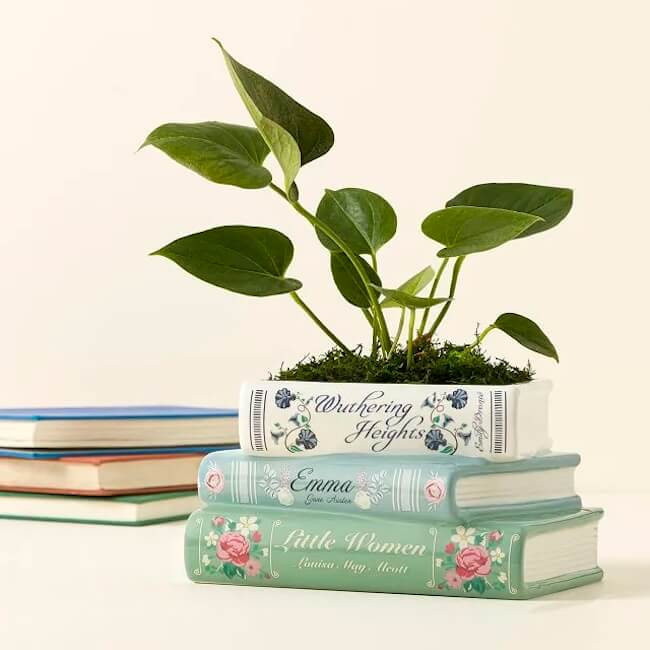 10 Unique Gift Ideas for Book Lovers - 8 A green potted plant sits in a rectangular planter designed to look like a stack of classic hardcover books, making it one of the perfect book lover gifts, with two other books in the background.