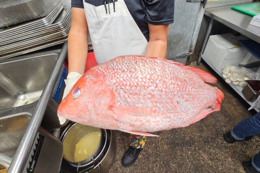 A Southern Chef's Secret to a Cleaner Kitchen in 2026 (It’s Not What You Think) - 4 A cook at Dyron's wearing an apron and gloves holds a large red snapper with silvery scales in a commercial kitchen near a sink and metal trays.