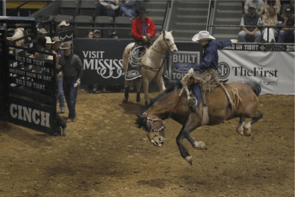 Dixie National Livestock Show & Rodeo (Ended)