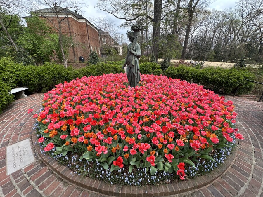 New to Memphis! Exciting Additions for 2026 - 3 SB Memphis Dixon Gallery and Gardens Robert Dye