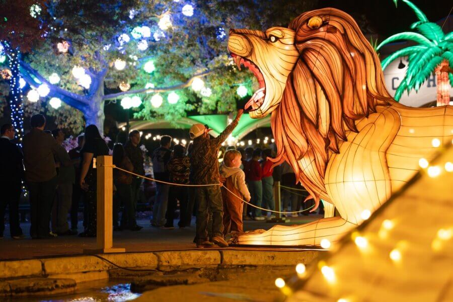 New to Memphis! Exciting Additions for 2026 - 5 Children stand in front of a large illuminated lion sculpture at an outdoor nighttime event in Memphis, surrounded by people and colorful lights—a magical scene you won’t want to miss, coming soon in 2026.