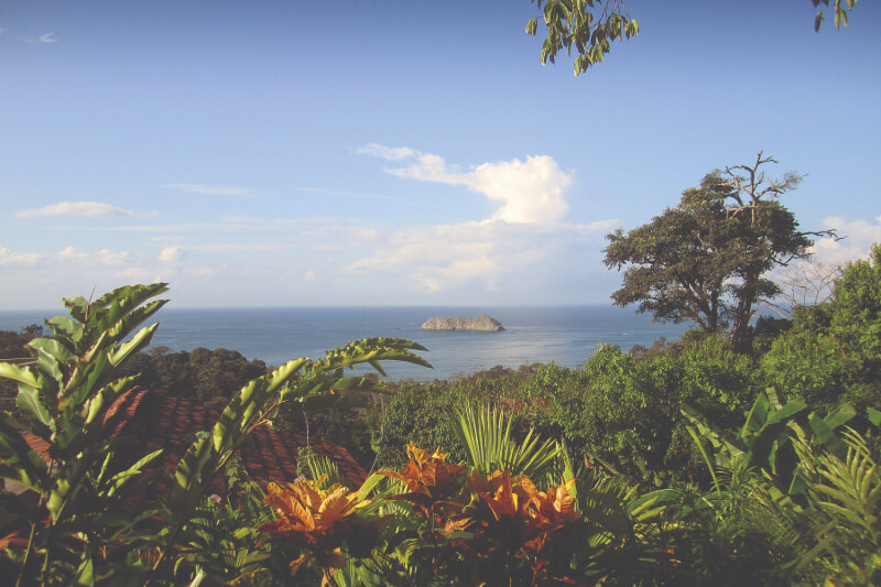 Coming Soon to Nashville! 10 Exciting Additions - 8 View of a distant island in the ocean, framed by tropical plants and trees under a clear blue sky with scattered clouds—an inviting escape reminiscent of summer dreams in Nashville, 2026.