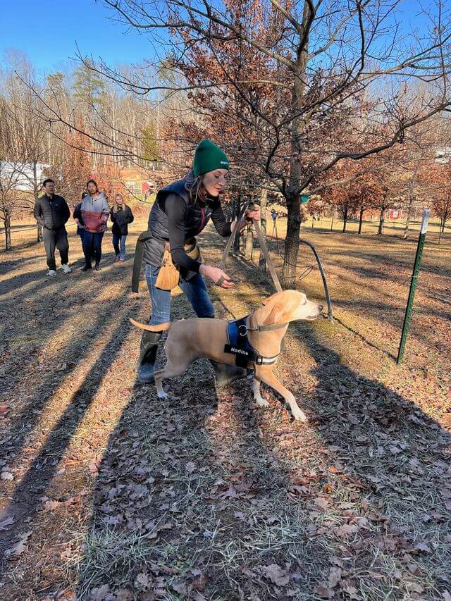 3 Places to Go Truffle Hunting in the South - 2 A woman in a green hat holds a leashed dog wearing a harness, truffle hunting in a park in the South, while a group of people walk behind them among leafless trees.