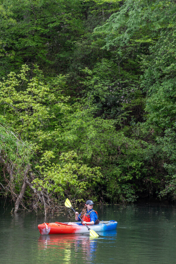 52 Weekends, 630 Miles: Alabama’s Scenic River Trail is the Longest in the Country - 4 A person in a blue and red kayak paddles on calm water, surrounded by dense green trees and foliage.
