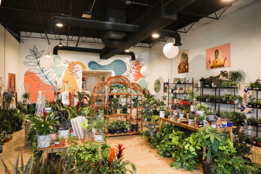 Meet Jessica Watts of BHAM's House Plant Collective - 4 A well-lit House Plant Collective interior with various house plants, wall art by Jessica Watts, hanging paper lanterns, and shelves displaying gardening supplies.
