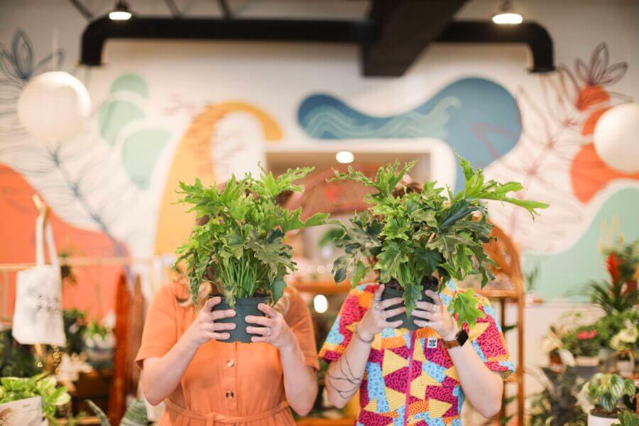 Meet Jessica Watts of BHAM's House Plant Collective - 7 Two people stand indoors, each holding a potted house plant in front of their faces, obscuring their features. The background features a colorful mural and various plants, evoking the vibe of the House Plant Collective.