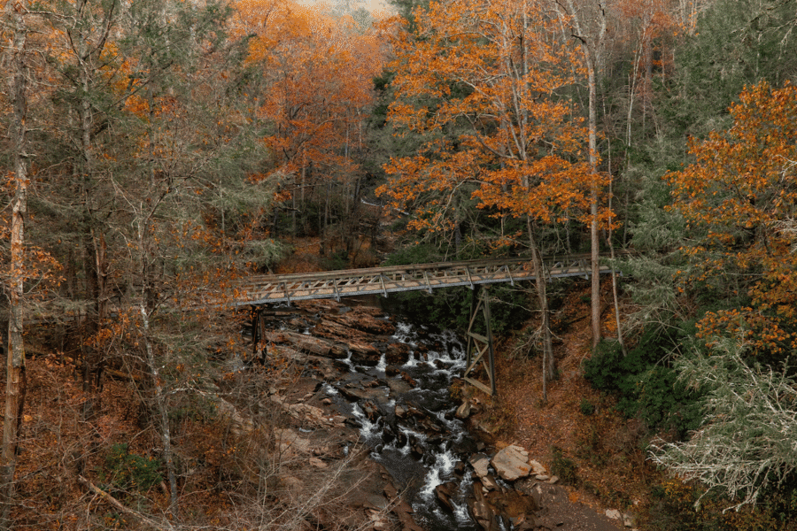 How to Eat, Shop & Explore Your Way Through Georgia - 8 A narrow wooden bridge spans a rocky creek in a forest with autumn foliage and fallen leaves—perfect for those who love to play in Georgia's scenic outdoors.