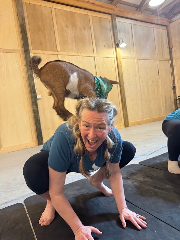 She's Building a Support Network for Nashville's Live Music Community - 5 Kara Kemp holds a yoga pose indoors, smiling as a brown goat in a green bandana stands playfully on her back.