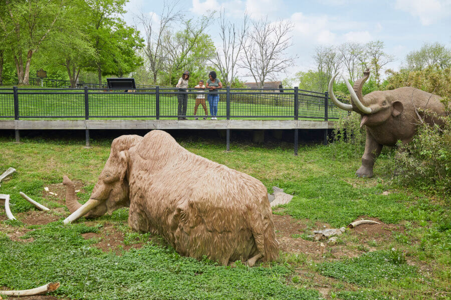 Hidden History in the Southβs Most Beautiful State Parks - 2 Two people stand on a boardwalk in the South, overlooking life-sized mammoth sculpturesβone partially submerged and another nearbyβin a grassy outdoor exhibit that reveals hidden history.