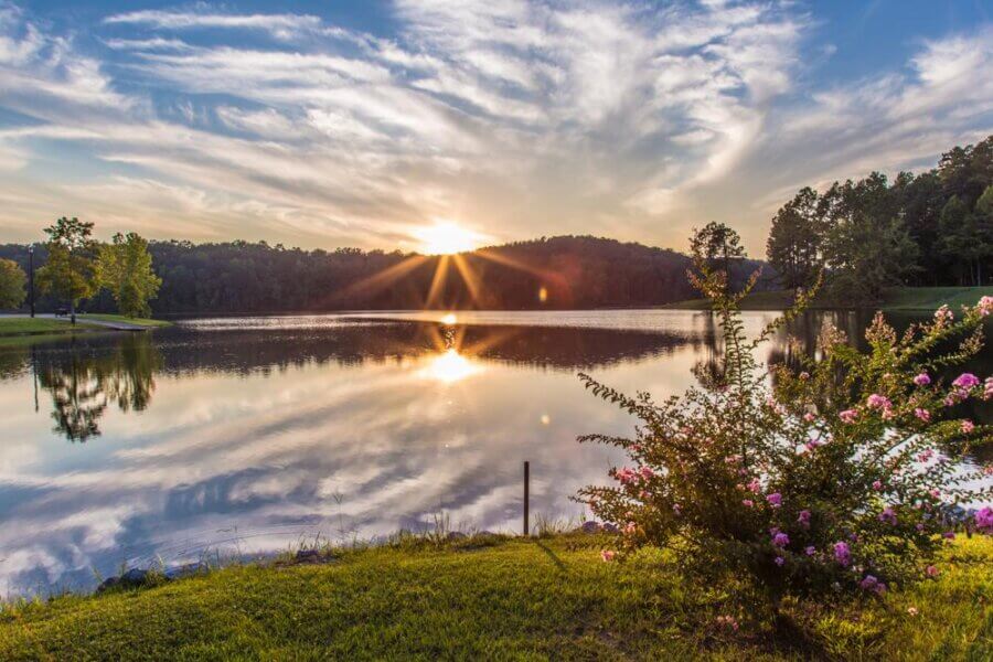 Hidden History in the Southβs Most Beautiful State Parks - 13 Sunset over a calm lake in one of the Southβs scenic state parks, with trees reflected in the water, wispy clouds above, and blooming pink flowers in the foreground.