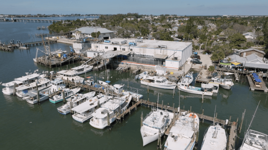 Meet the Woman Keeping Florida’s Oldest Fishing Village Thriving - 3 Aerial view of a marina with multiple docked boats near a large waterfront building, surrounded by trees and nearby structures under a clear sky.