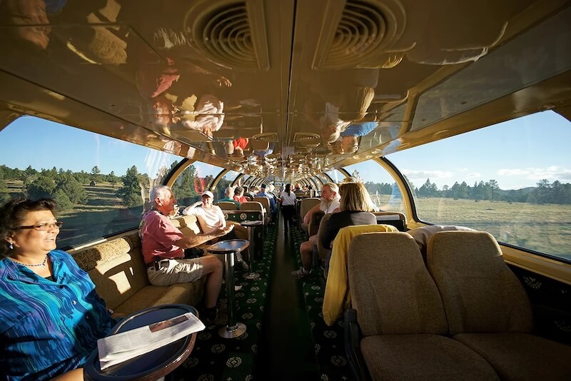 Passengers sit and relax inside the glass-domed observation car of a moving train, enjoying scenic views of trees and hills through large windows—an unforgettable experience on luxury train journeys.