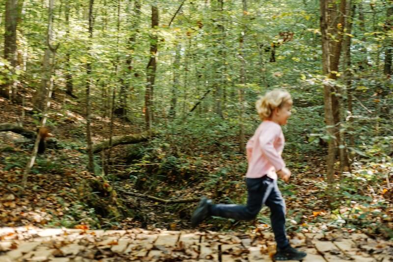 Inside The Arbors: A Rare Opportunity in Leiper's Fork - 5 A young child in a pink shirt runs across a wooden path at The Arbors, surrounded by trees and fallen leaves in the peaceful forest.