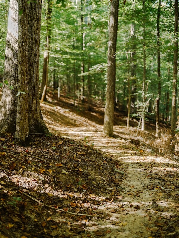 Inside The Arbors: A Rare Opportunity in Leiper's Fork - 3 A dirt trail winds through The Arbors, a forest with tall trees and green foliage, sunlight filtering through the leaves and patches of fallen leaves on the ground.