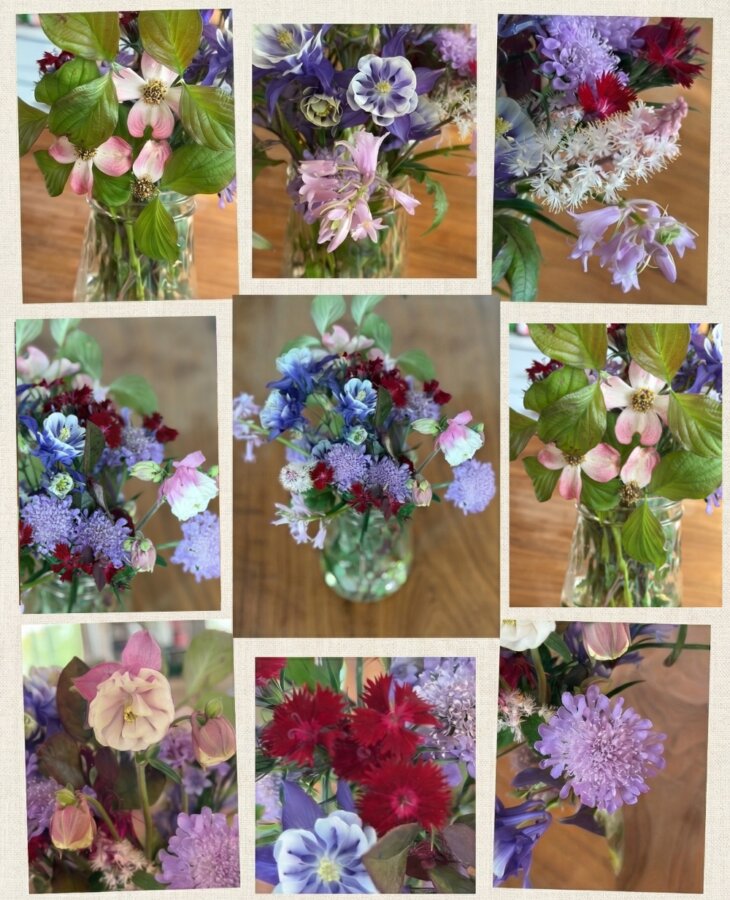 A Friendship Cutting Flower Garden - 6 A collage of photos featuring a glass vase filled with fresh flowers from a vibrant cutting flower garden in shades of purple, pink, red, and white, artfully arranged on a wooden surface.