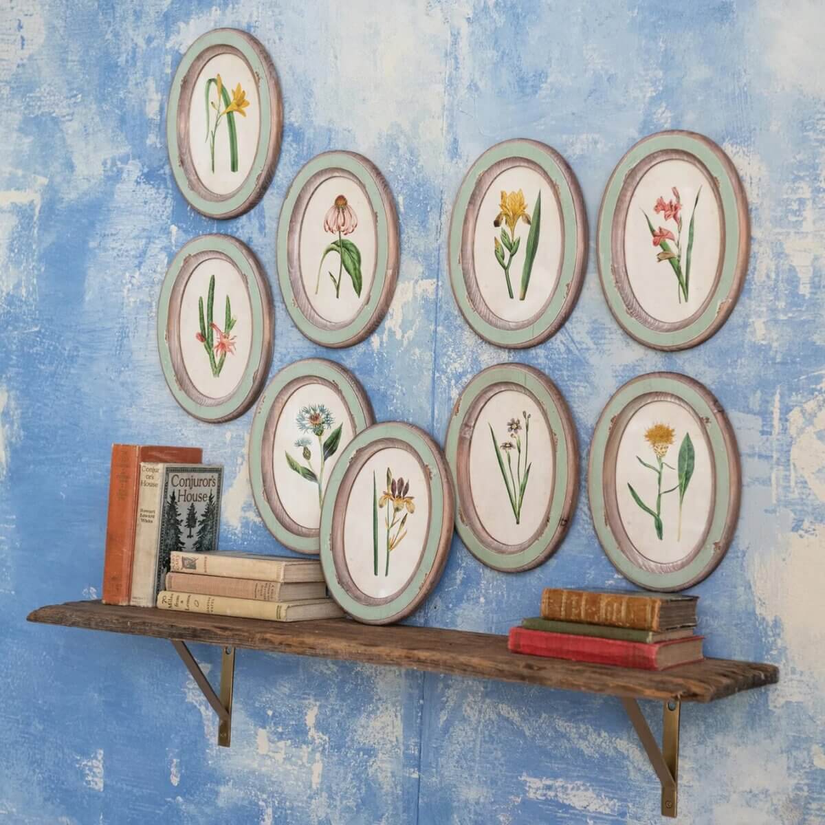 18 Birmingham FINDS for May Celebrations: Graduation, Mother's Day & More - 12 A wooden shelf with books beneath nine framed botanical illustrations arranged on a textured blue and white wall—one of Birmingham's charming May FINDS.