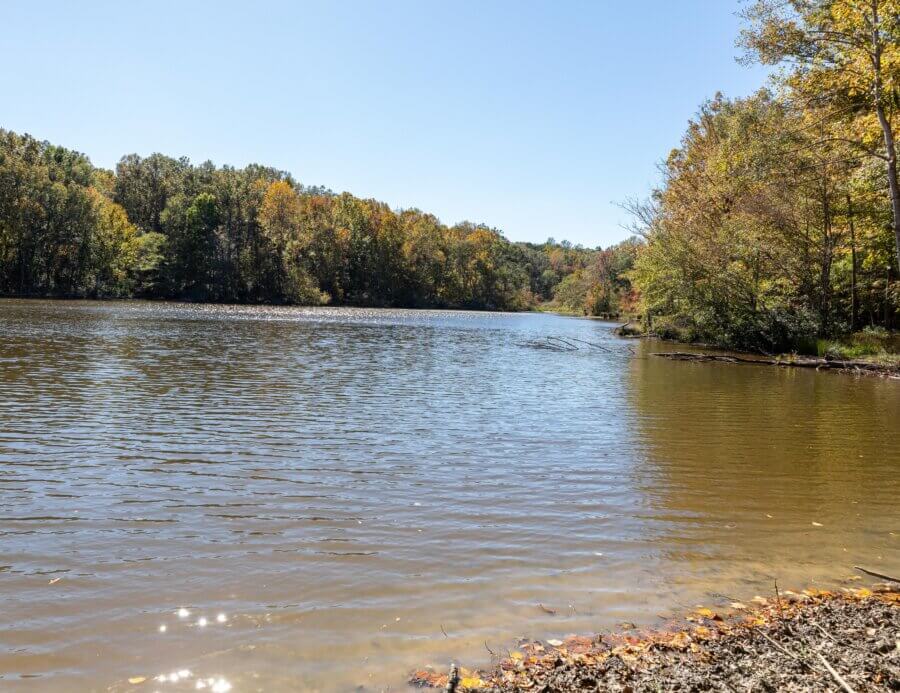 Hidden History in the Southβs Most Beautiful State Parks - 14 A calm lake surrounded by trees with autumn foliage under a clear blue sky, with sunlight reflecting on the water.