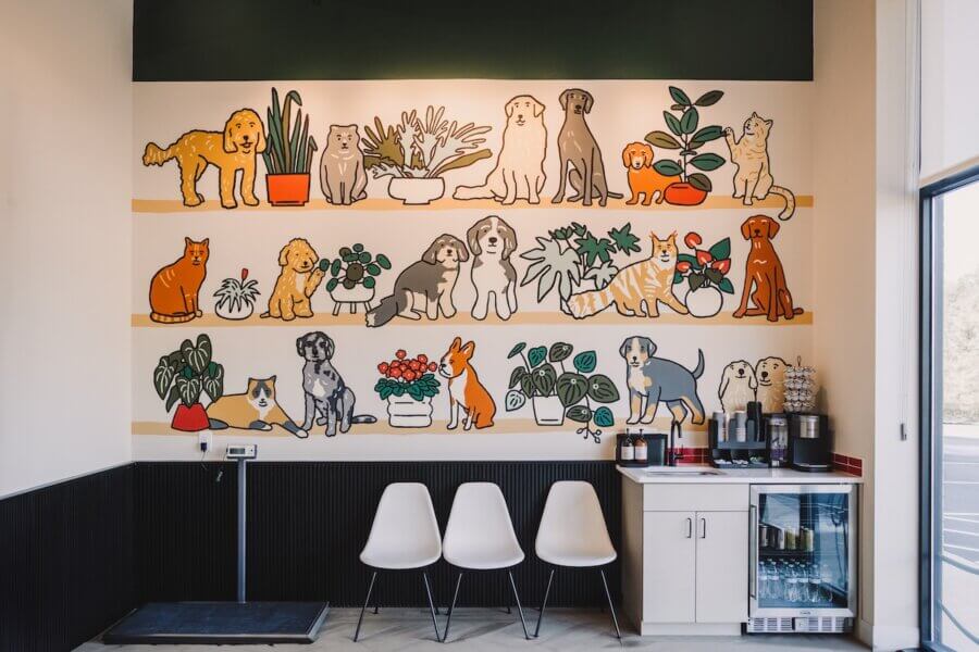 Not Your Average Vet: A Beautifully Designed Georgia Clinic Inspired by One Dog's Story - 8 A colorful mural of illustrated cats and dogs with potted plants decorates the wall above three white chairs and a refreshment counter in the Ruby Vet waiting area.