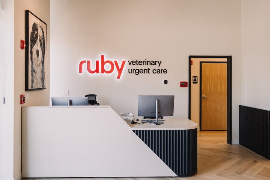 Not Your Average Vet: A Beautifully Designed Georgia Clinic Inspired by One Dog's Story - 4 Reception desk at Ruby Vet Urgent Care with a computer, chair, wall sign, and a framed dog photo on the wall.