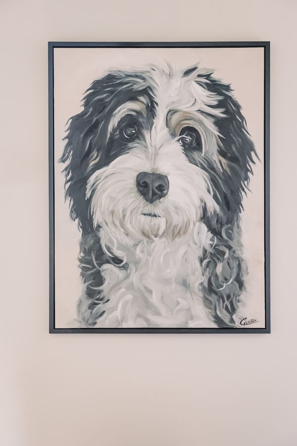 Not Your Average Vet: A Beautifully Designed Georgia Clinic Inspired by One Dog's Story - 2 A framed painting of a black and white dog with curly fur is displayed on a plain, light-colored wall.