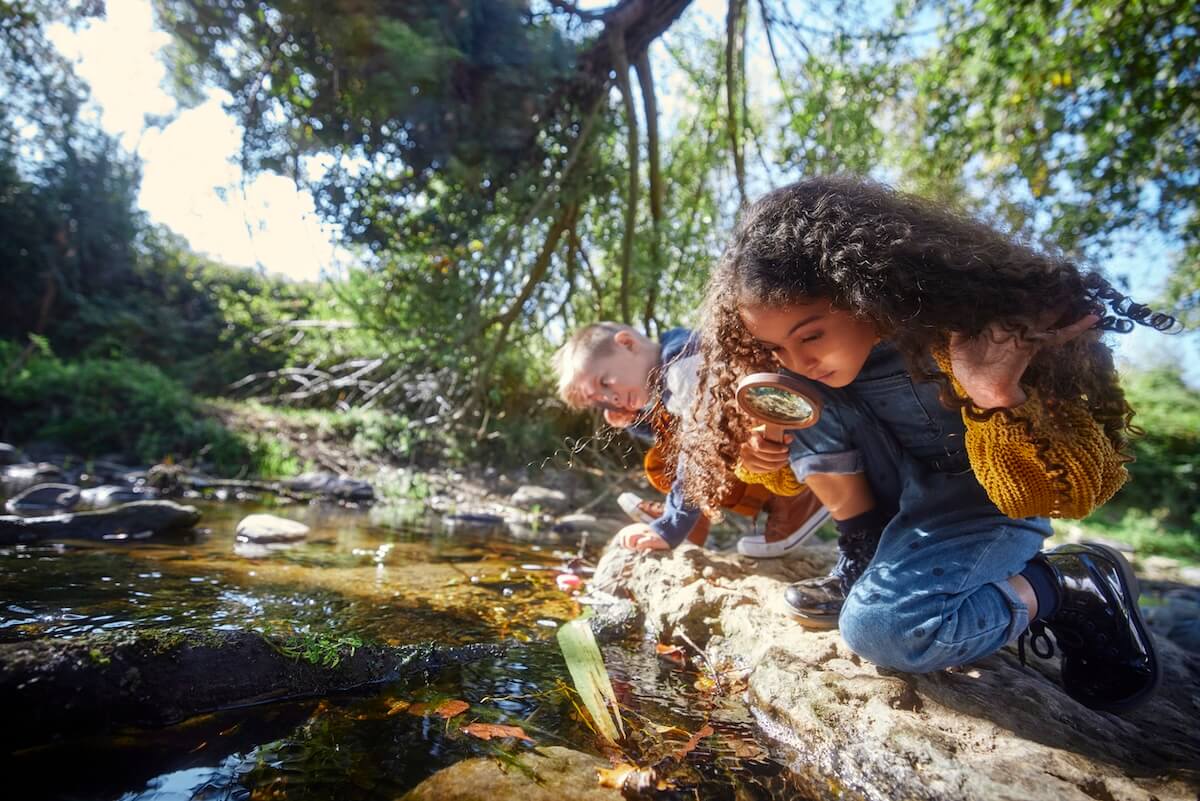 Two children kneel by a creek, closely examining the water and rocks with a magnifying glass, enjoying outdoor learning on a sunny day surrounded by trees.