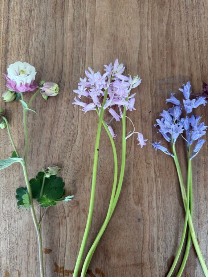 A Friendship Cutting Flower Garden - 3 Three different types of flowers—white and purple, light pink, and light purple—are laid out on a wooden surface.