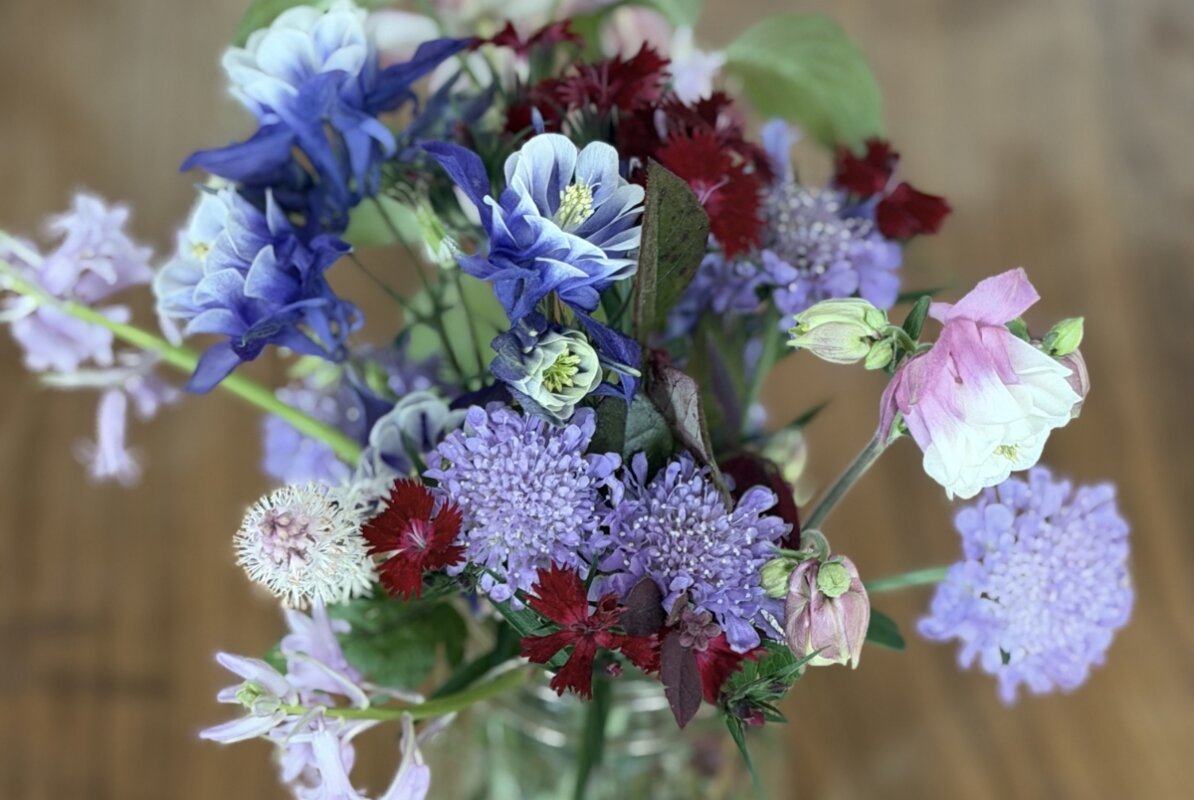 A bouquet of assorted flowers in purple, red, and pink, reminiscent of a vibrant cutting flower garden, arranged in a glass vase against a blurred brown background—a perfect gesture of friendship.