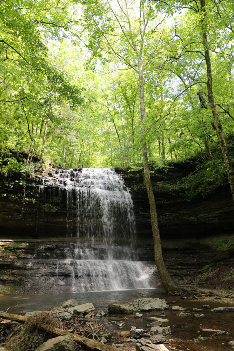 4 Summer Weekend Trips from Atlanta - 2 A waterfall cascades over a rocky ledge into a small pool, surrounded by lush green trees and sunlight filtering through the leaves—an ideal spot for summer weekend trips from Atlanta.