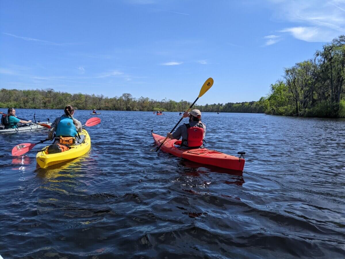 The Top Outdoor Adventures in South Carolina - 12 People kayaking on a calm lake under a clear blue sky, surrounded by green treesβan ideal scene for South Carolina outdoor adventures.