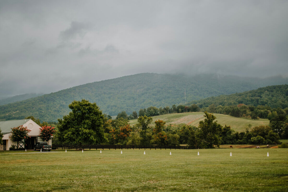 5 Fabulous Wine Weekends Around the South - 3 A large grassy field with scattered white cones, a barn-like building on the left, and tree-covered hills in the background under a cloudy South sky—perfect for wine weekends or leisurely wine tours.
