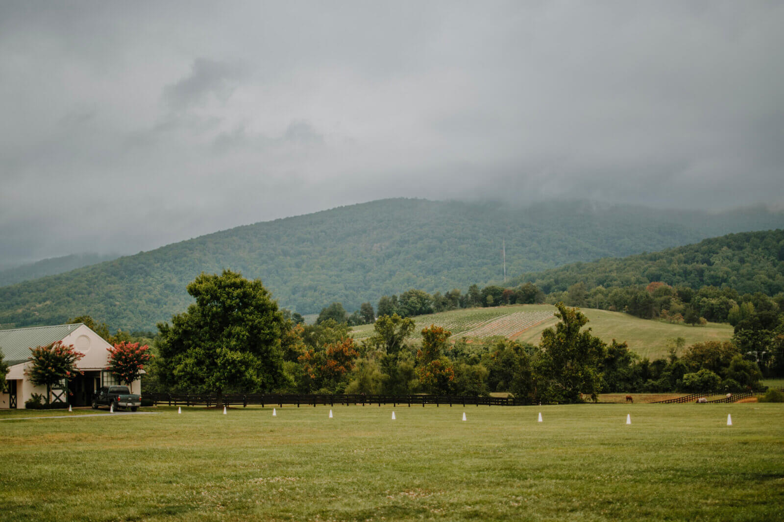 A large grassy field with scattered white cones, a barn-like building on the left, and tree-covered hills in the background under a cloudy South sky—perfect for wine weekends or leisurely wine tours.
