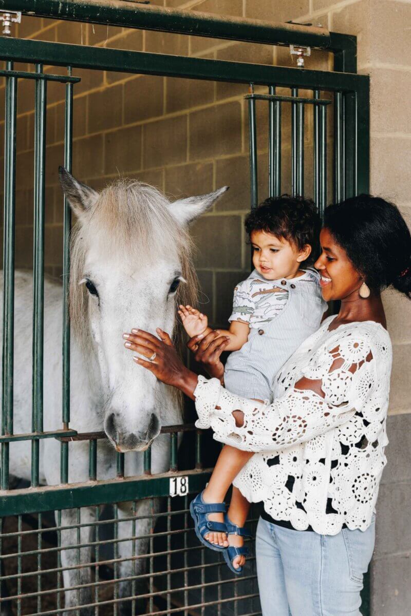 Need a Change of Scenery? Try These Summer Weekend Trips From Nashville - 3 A woman holds a child while both pet a white horse through the bars of a stable, capturing one of those perfect moments you might find on day trips from Nashville.