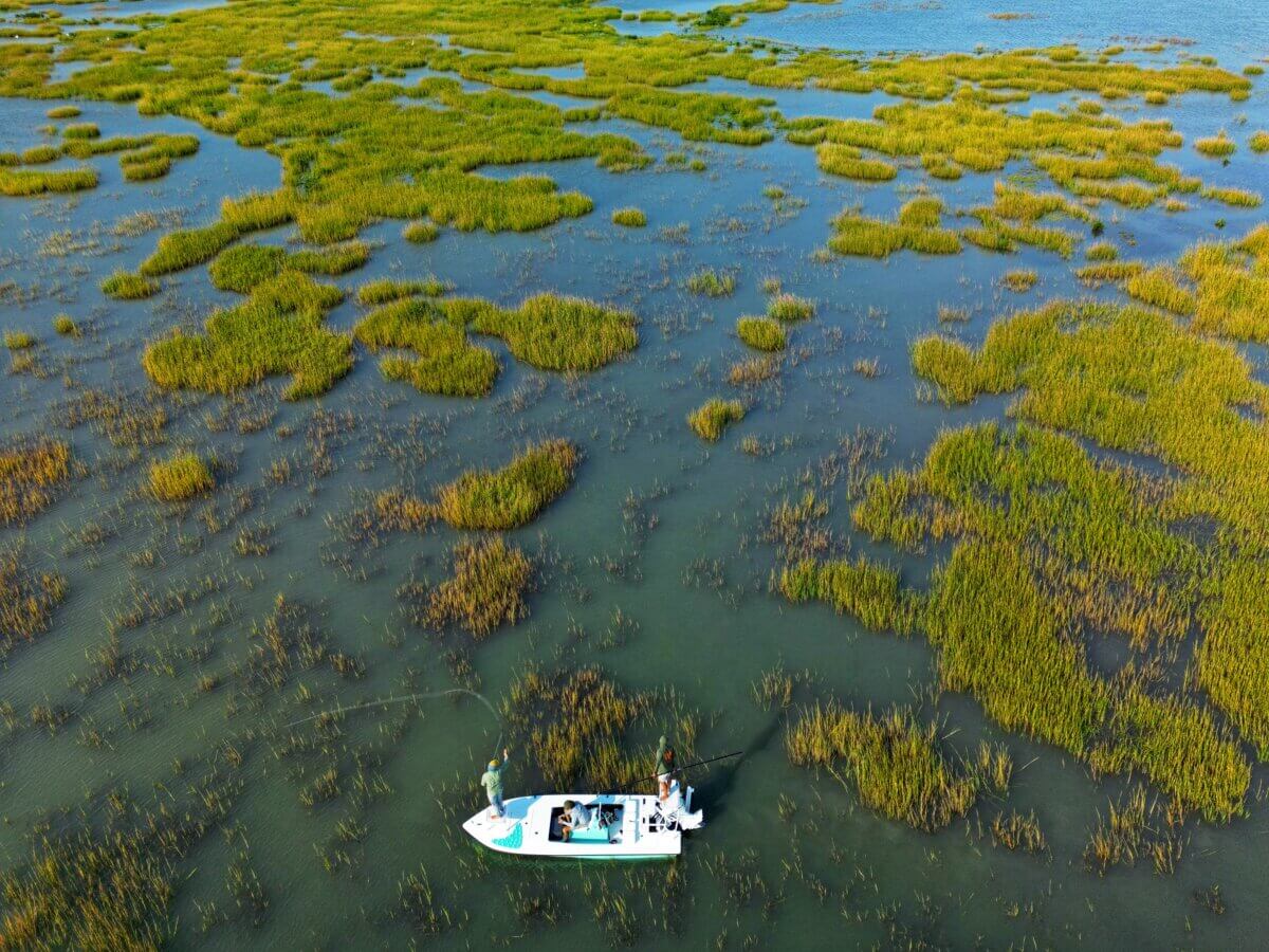 How to Eat, Shop & Play Your Way Through Texas - 7 A swampy area features grass and a small fishing boat.
