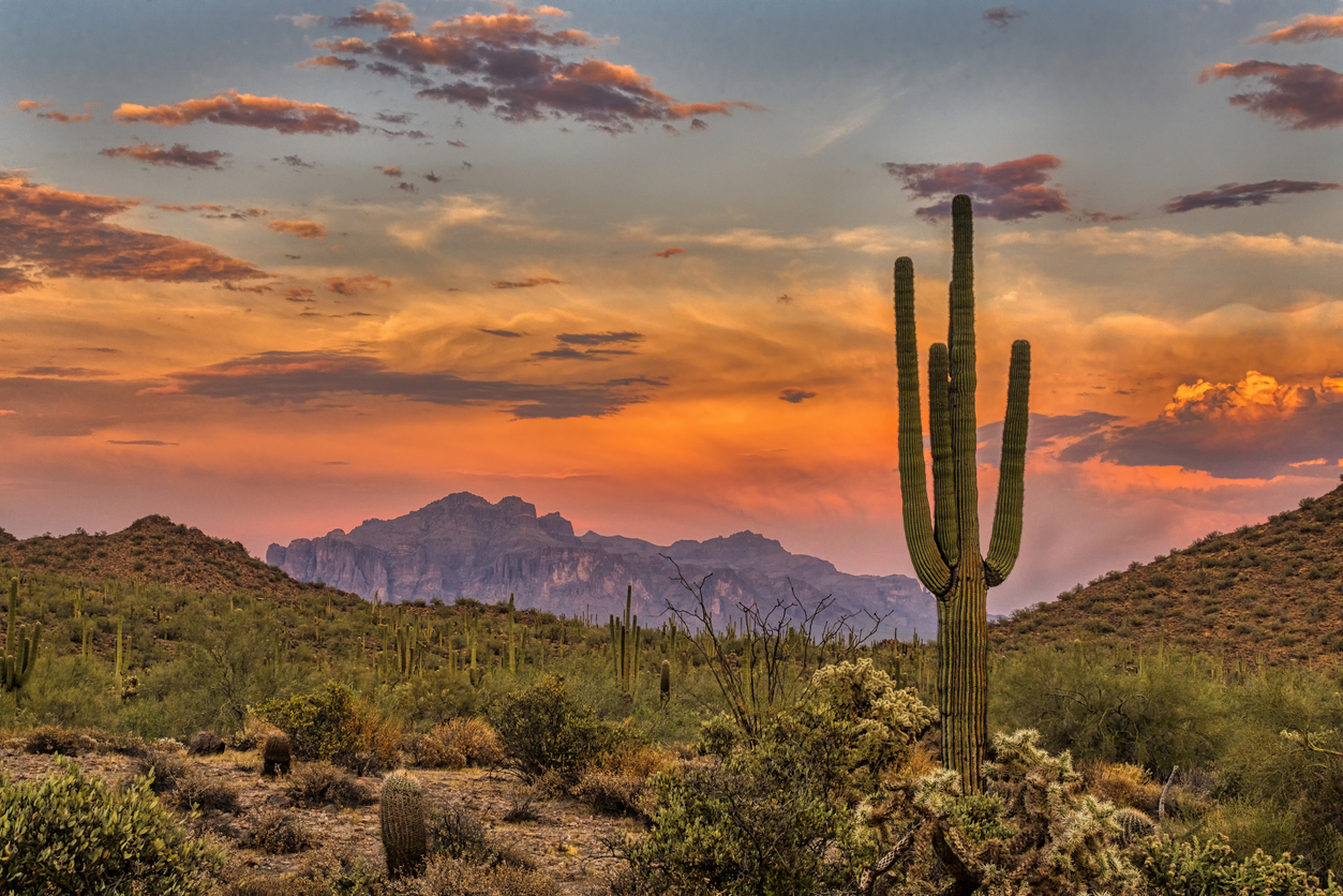 A perfect Arizona getaway: A desert landscape at sunset with a prominent saguaro cactus in the foreground, various shrubs, and mountains in the background under a colorful sky.