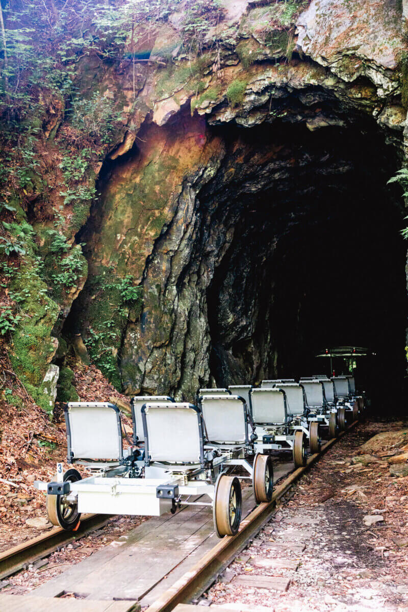 5 Summer Weekend Trips from Atlanta - 10 Several empty rail carts are positioned on tracks leading into a dark, rocky tunnel surrounded by trees and foliage, making it a hidden gem for those seeking unique weekend trips from Atlanta.