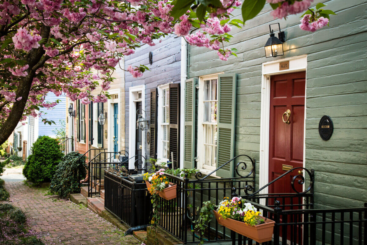 How to Spend a Perfect Weekend in Old Town Alexandria, VA - 2 Row of colorful townhouses with flower boxes and black railings line a brick sidewalk in Old Town Alexandria, VA, shaded by blooming pink treesβa charming spot for a weekend stroll.