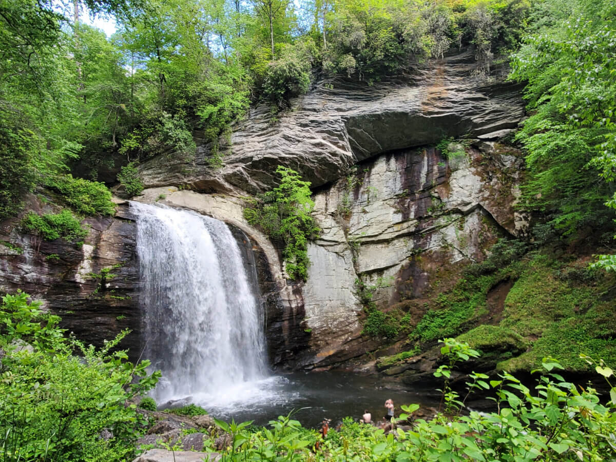 Great Southern Outdoors: Destinations for Active Travelers - 8 A waterfall cascades over a rocky cliff into a small pool, surrounded by lush green trees and vegetationβan idyllic spot perfect for outdoor adventure vacations.