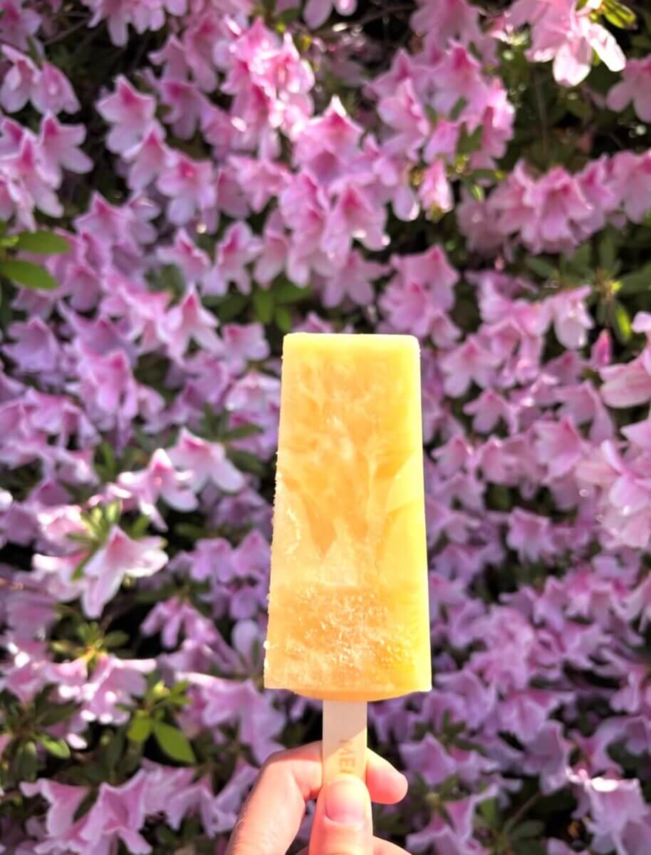 A hand holds a yellow popsicle in front of a bush covered with blooming pink flowers.