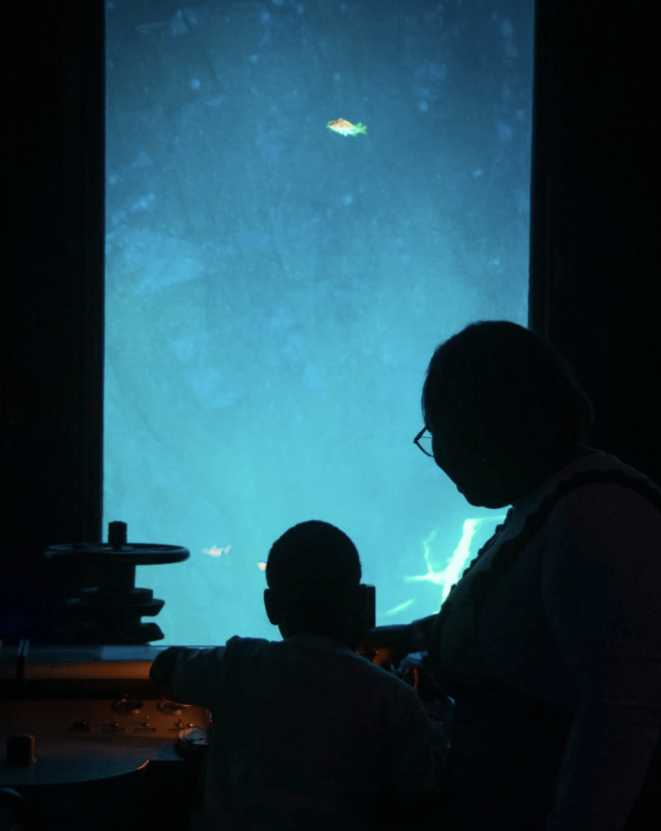 The South’s Biggest Museum Boom is Happening in Memphis - 5 A child and an adult stand in front of a large illuminated aquarium window, observing fish swimming in the water.